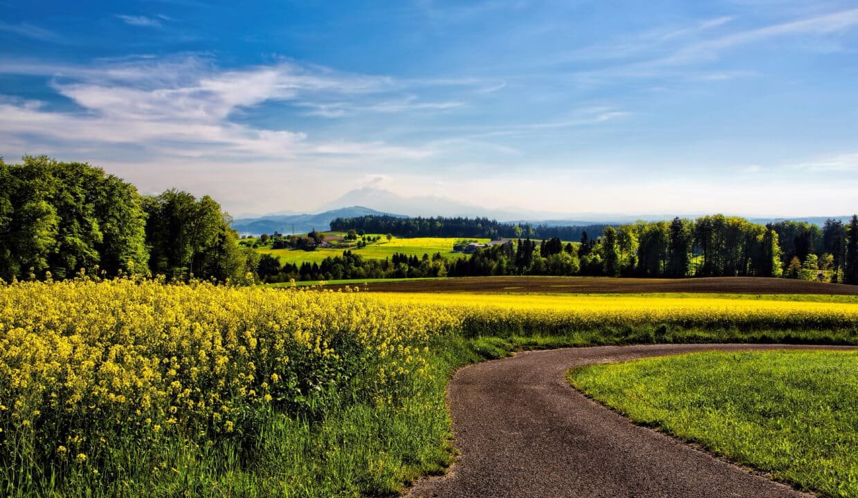 Marché immobilier 2026 : vers une dynamique de reprise durable