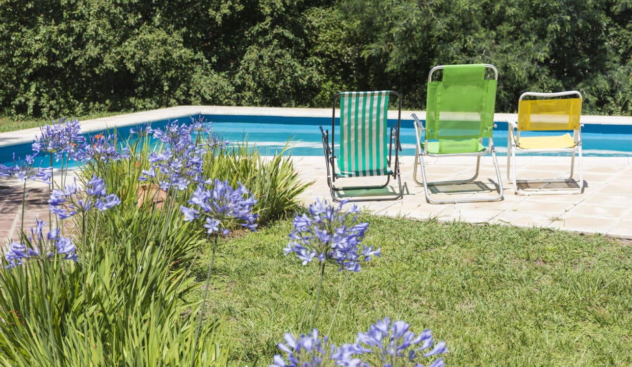 piscine creusée enterrée dans un jardin